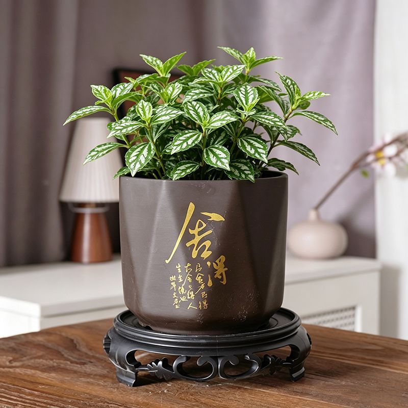 紫砂绿植盆陶瓷菱形吊兰盆景带孔古典虎皮兰盆栽摆件带托盘景观盆