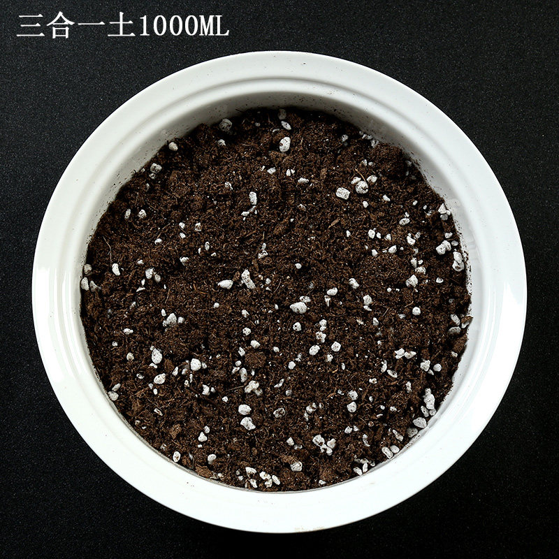 多肉植物种植土营养土颗粒土种菜土泥炭土有机营养土园艺用土肉肉,鲜花速递/花卉仿真/绿植园艺,花盆,淘宝优惠券,粉丝福利购,淘宝优惠卷
