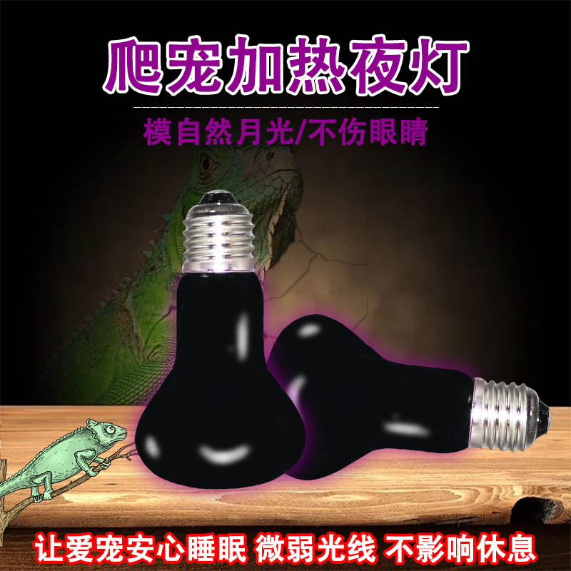 爬宠uva夜灯陆龟蜥蜴刺猬鹦鹉