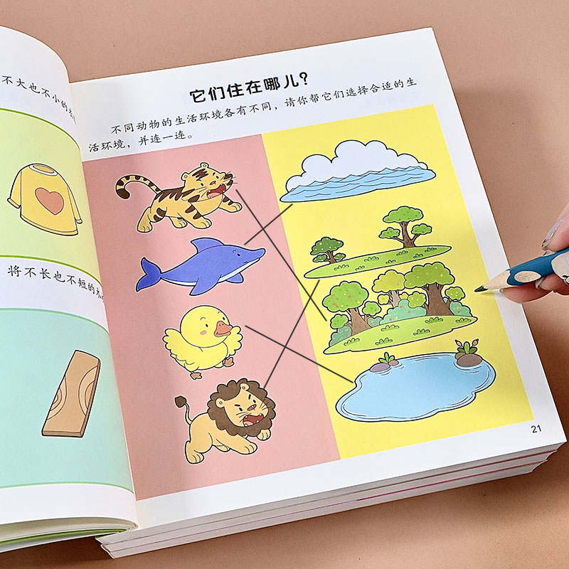 2-6岁幼儿思维逻辑智力游戏书