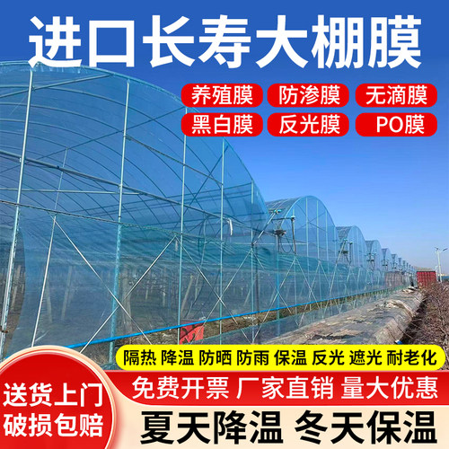 进口大棚膜蔬菜保温加厚无滴膜PO膜透明塑料薄膜抗老化养殖黑白膜