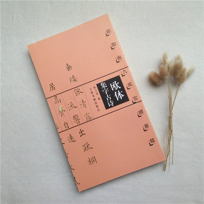 欧体入门学生楷书练字帖