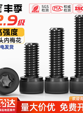 12.9级梅花孔螺丝钉圆柱头内六角螺栓M3M5M6M8M10*8x10/12/16/20