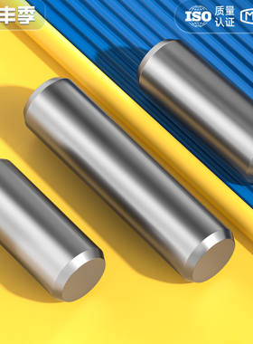 A3碳钢圆柱销定位销固定销钉实心销子Φ2M3M4φ5M6M8-M20mm gb119