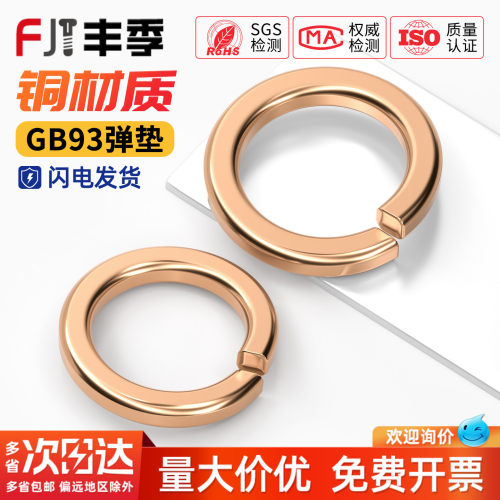 【全网热销】国标纯紫铜弹垫