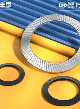 DIN9250 304不锈钢/65MN锰锁紧垫片防松自锁双面齿碟形防滑平垫圈