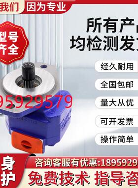 新款天津PERMCO齿轮泵P124-G10182LD-54G油泵P124A085A0ZA10-现货