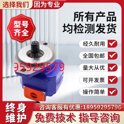 新款天津PERMCO齿轮泵P12