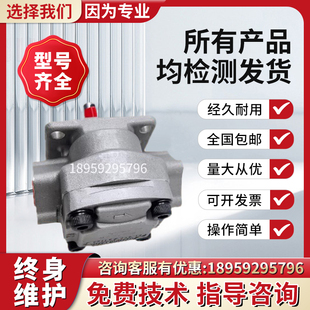 10R 日本SHIMADZU齿轮泵 11.5高压现货 GPY 新款 5.8R