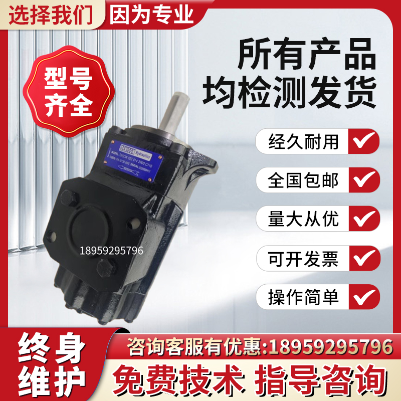 新款派克DENISON叶片泵T6