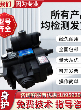 新款V15A4R10X台湾柱塞油泵V15,V23,V38,V42A1/A2/A4R10X压力现货