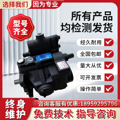 新款V15A4R10X台湾柱塞油