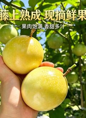 寻乌黄金百香果钦蜜9号农家自种自然成熟爆汁孕妇鲜果整箱现摘发