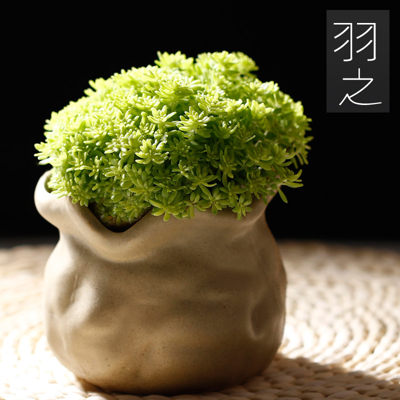 黄金万年草 爆盆带盆栽好 多肉植物多头群生办公室内绿植盆栽组合