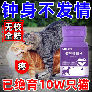 猫咪禁情静情粉母猫专用发情期抑制非药绝育禁粉公猫闹喵叫抑情片