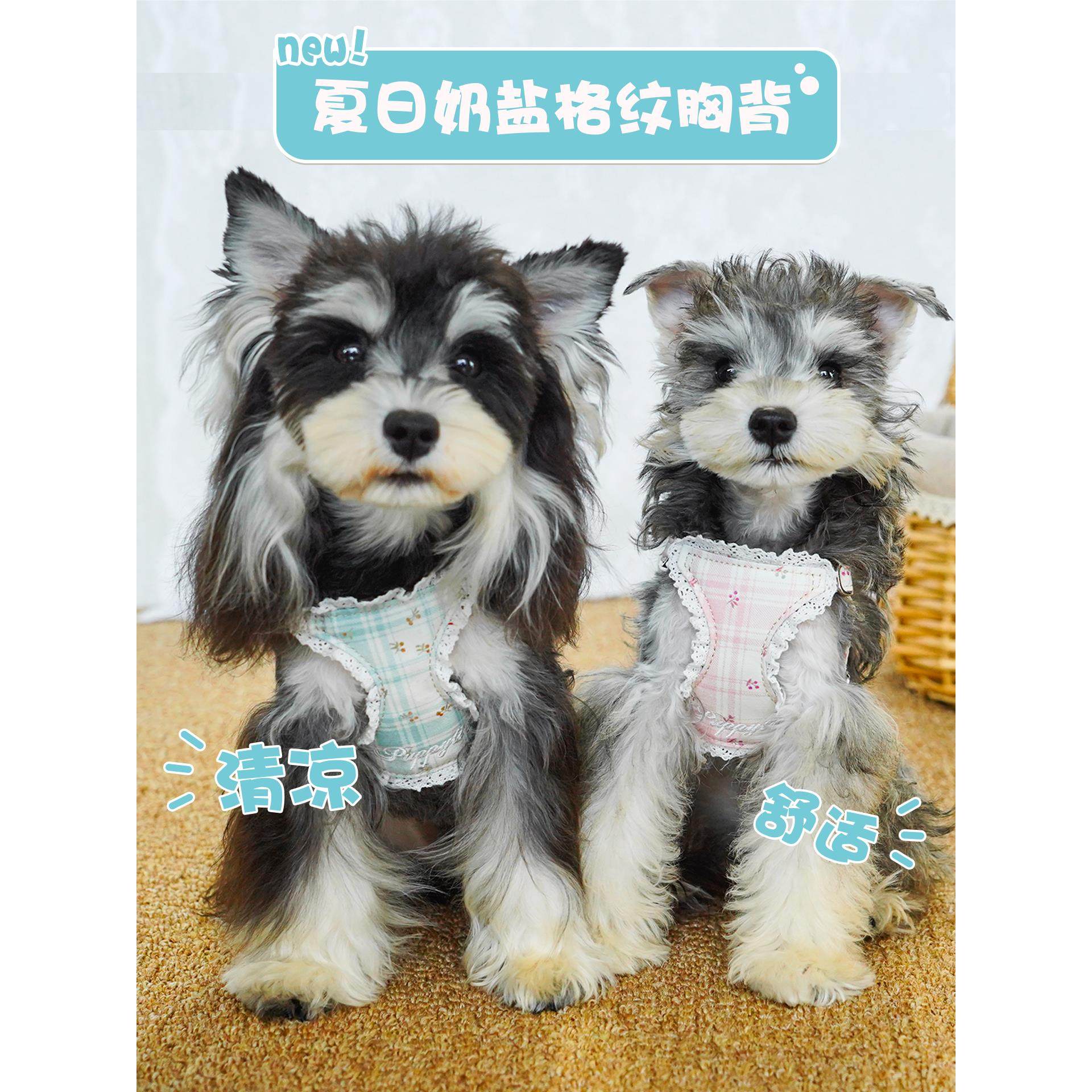 puppytie宠物胸背牵狗绳小型犬可爱蕾丝花边狗狗背心式牵引绳狗炼