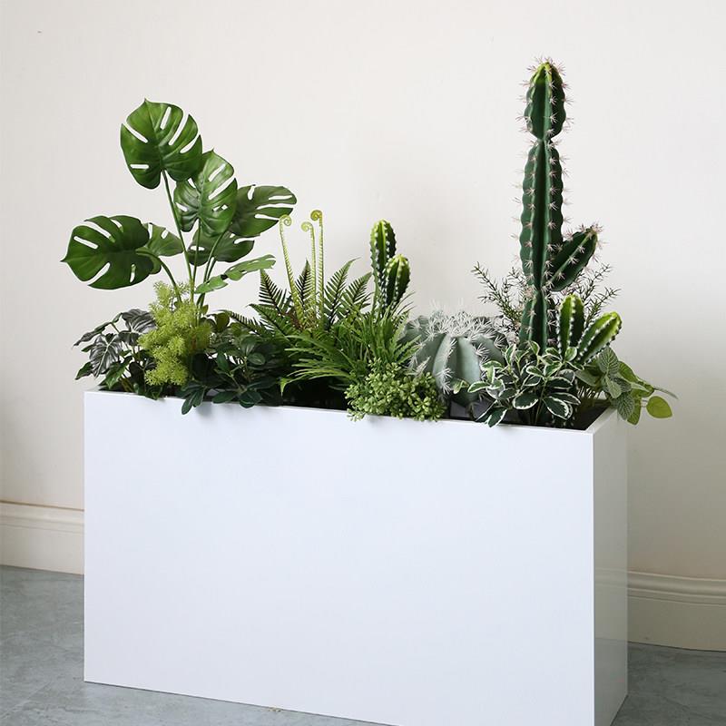 彷真仙人掌绿植造景室内假植物隔断摆件户外花箱热带沙生植物装饰