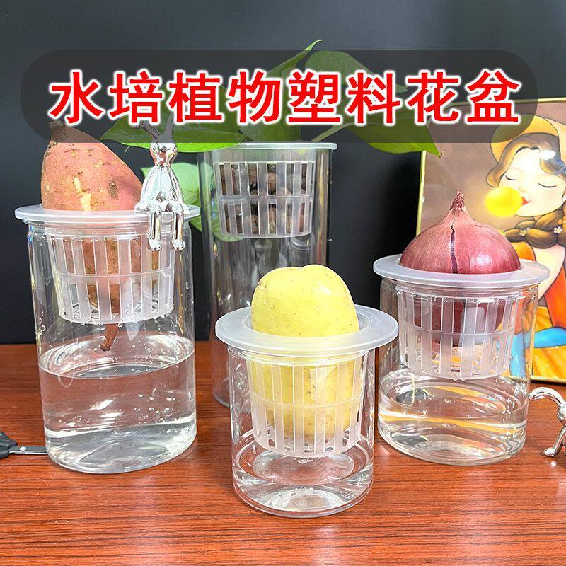 水培器皿塑料透明圆柱形花盆蔬菜豆种子多肉荔枝红薯定植篮种植瓶