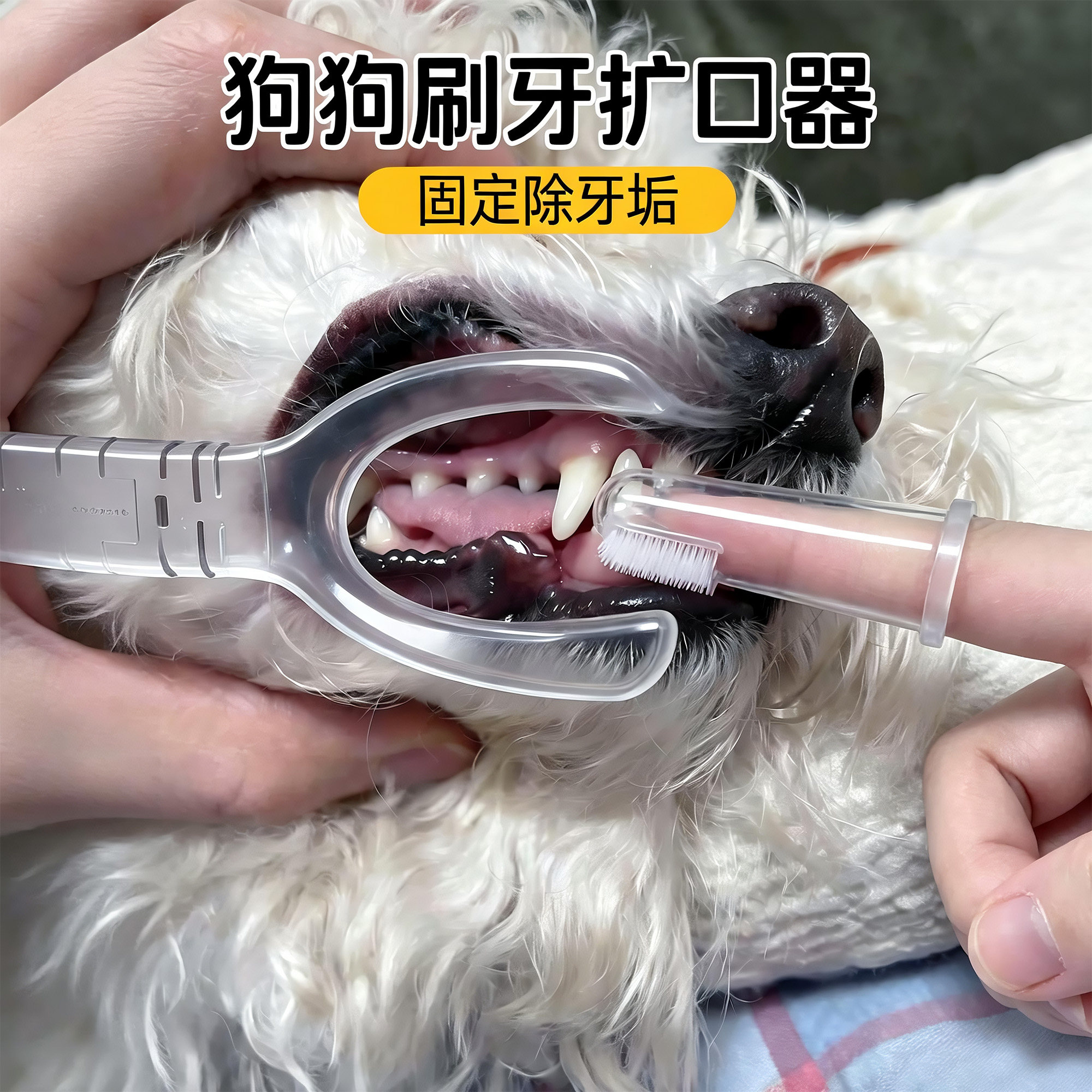 狗狗刷牙辅助器刷牙固定器口腔清洁辅助除牙垢开口器侧边扩口牙具图片