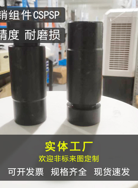 CSPS侧销组件CSPS/CSPW汽车冲压模具配件单双槽侧销组件尺寸定制