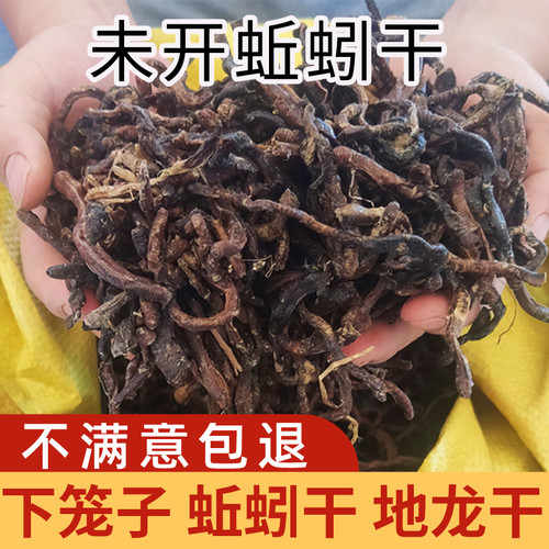 2025晒干蚯蚓地龙蚯蚓干曲蟮