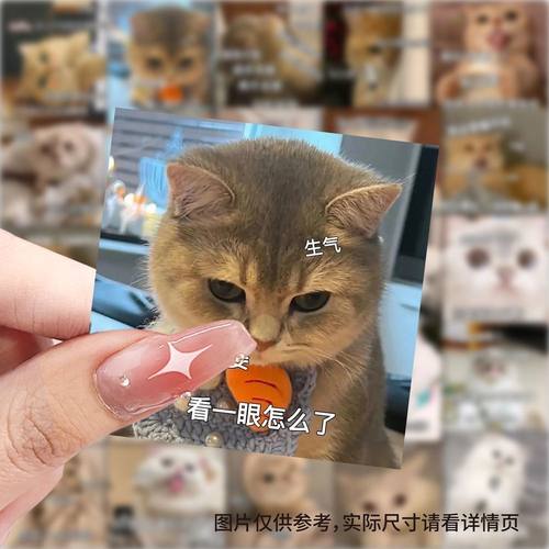 猫咪可爱表情贴纸搞笑小猫创意沙雕手机diy手账装饰贴画防水