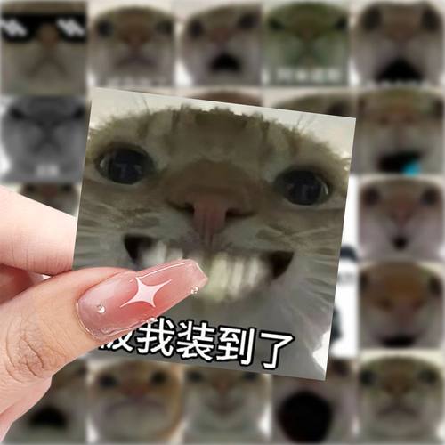 59张鼠鼠表情包贴纸卡通可爱搞笑沙雕装饰手机壳平板电脑防水贴画