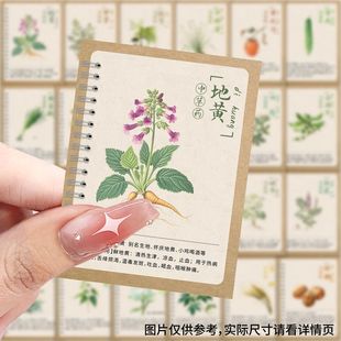 126张中药插画合集贴纸人参黄芪金银花甘草天麻葛根装饰防水贴画