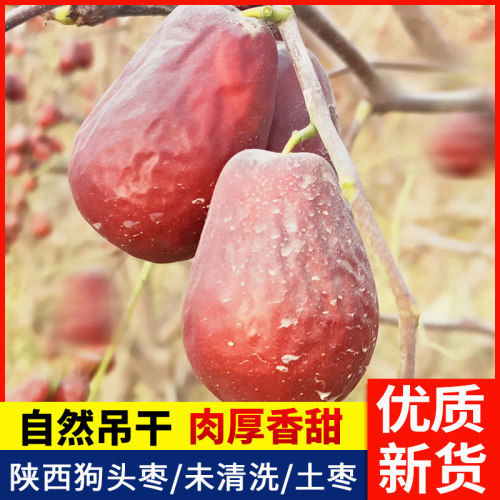 陕西狗头枣未清洗大枣吊干土枣
