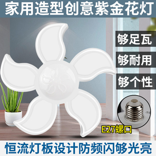 LED节能灯泡家用E27螺口省电球泡灯造型紫金花卧室走廊客厅照明灯