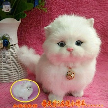 假猫咪仿真小猫摆件毛绒送迷你玩具1