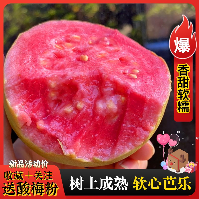 福建土芭乐新鲜红心软芭乐软糯红心番石榴鸡屎果孕妇水果5斤现摘