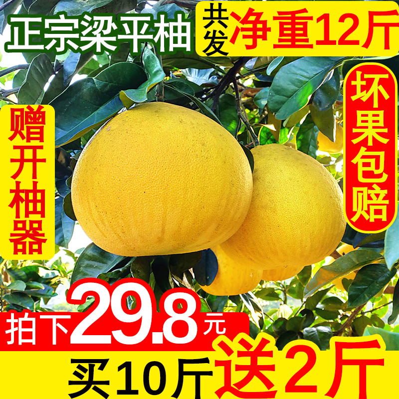 重庆特产梁平柚 梁山柚 麻柚子平顶柚新鲜水果农家现摘10斤装包邮