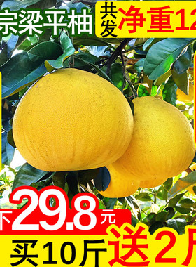 重庆特产梁平柚 梁山柚 麻柚子平顶柚新鲜水果农家现摘10斤装包邮