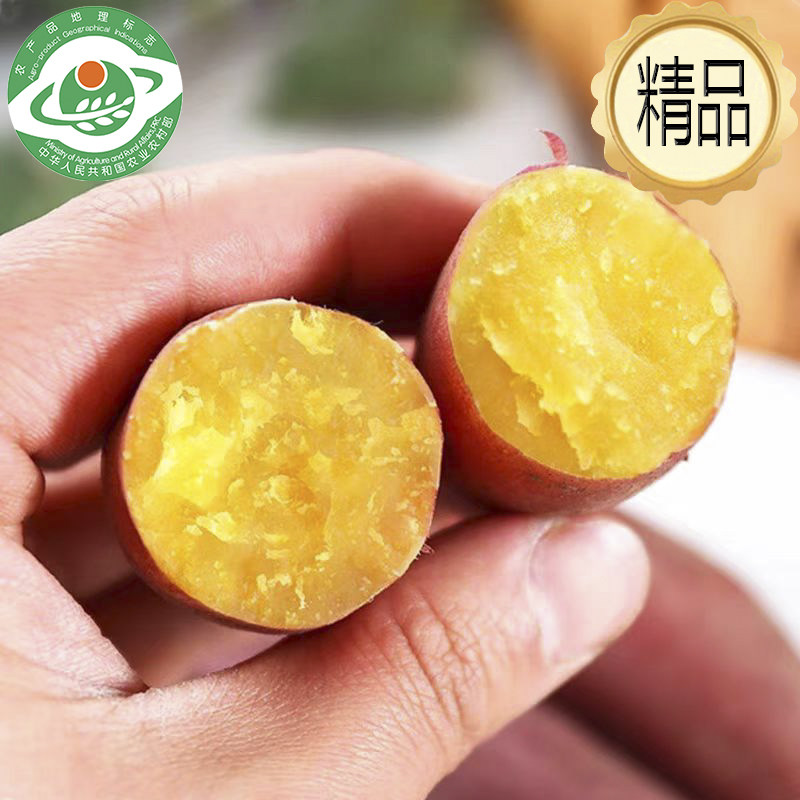 有机】小香薯黄心板栗红薯新鲜现挖农家自种蜜薯榴莲蜜薯黄金日本