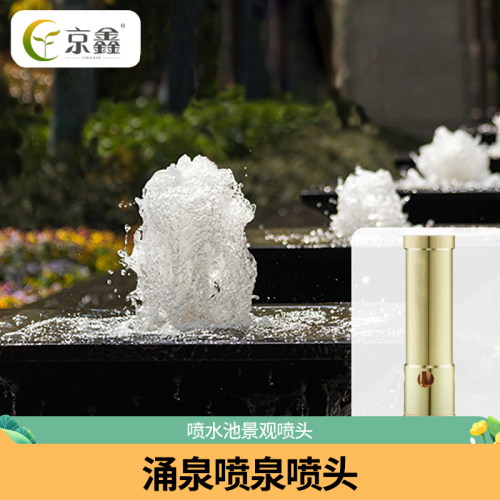 全铜加厚公园广场4/6分1寸涌泉
