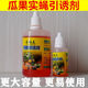 瓜果实蝇引诱剂药剂果蝇诱捕器瓜果园菜地针锋