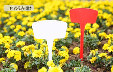 花苗花卉标牌插牌标签标牌花签花盆标签号标牌标牌标签标志牌草绿