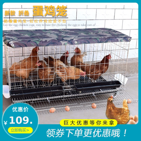 加厚鸽家禽自动滚蛋双门鸡笼子家用大号特大蛋鸡笼运输笼加粗耐用