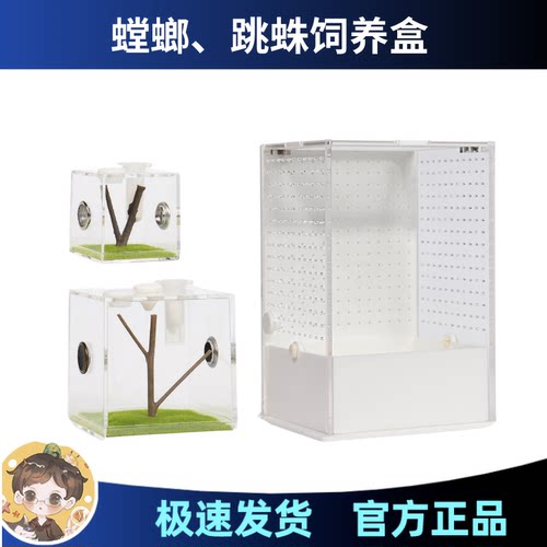 宠物跳蛛蜘蛛饲养盒饲养箱透明亚克力高透 透气 盒子造景 保湿