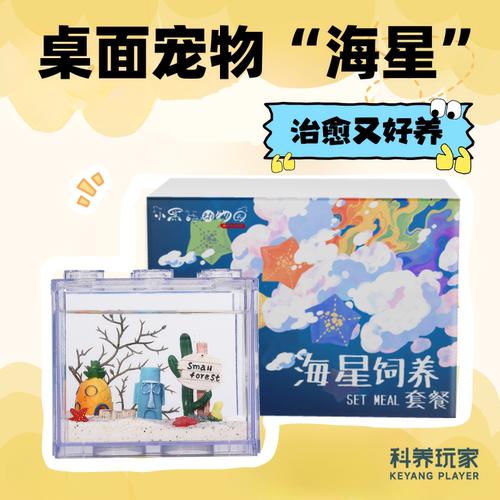 桌面宠物海星饲养套餐小黑儿童节