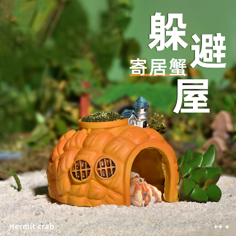 爬宠鱼缸树爬宠鱼缸树洞洞寄居蟹