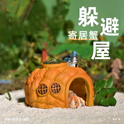 爬宠鱼缸树爬宠鱼缸树洞洞寄居蟹