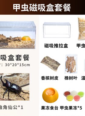 独角仙宠物甲虫饲养套餐