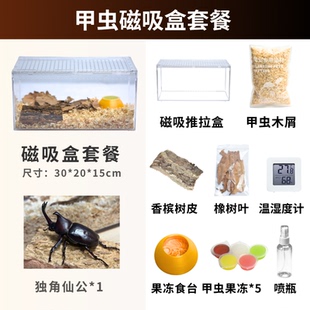 【甲虫饲养套餐】独角仙成虫饲养盒卡布达懒人宠物好养宠物甲虫