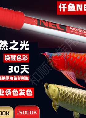 日本nec龙鱼专用发色灯增色仟鱼三基色鱼缸灯红龙金龙鱼灯潜水灯