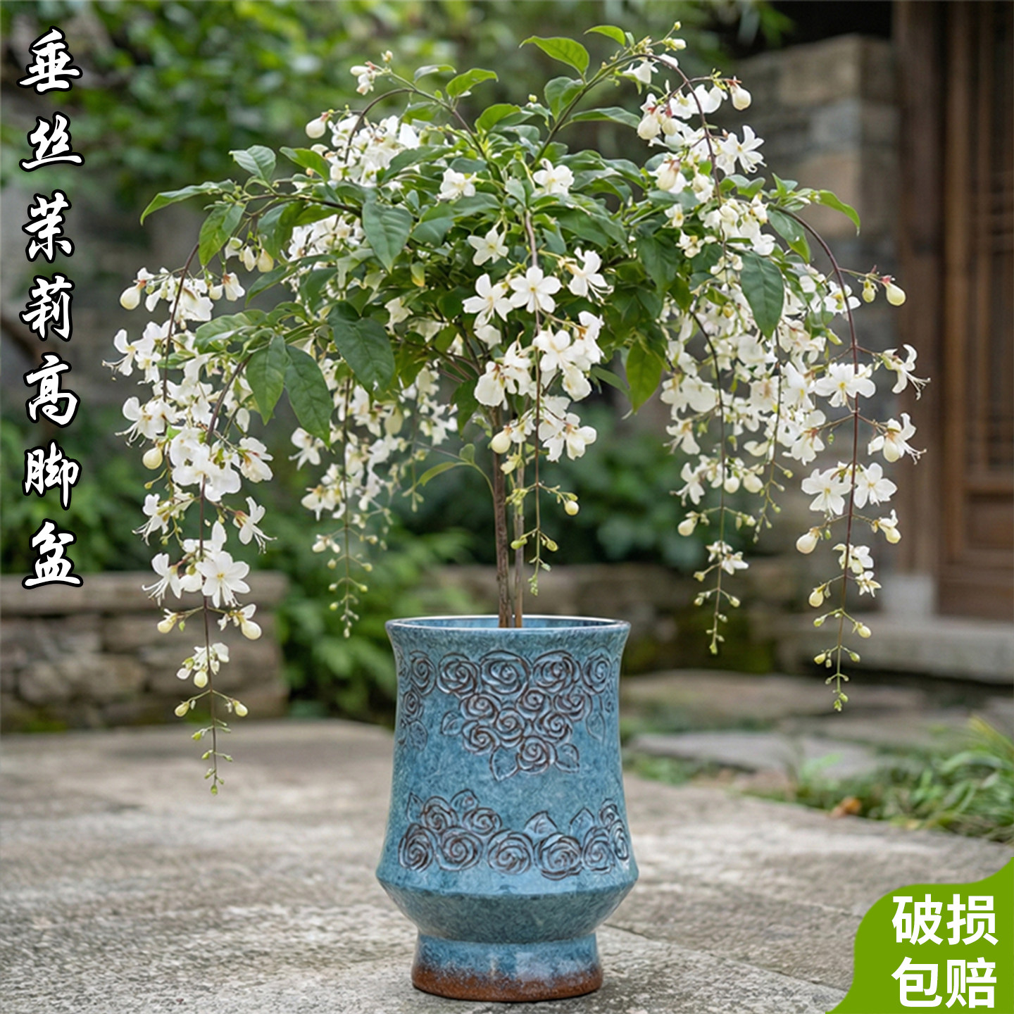 大号多肉花盆陶瓷垂丝茉莉专用透气紫砂盆家用阳台惠兰兰花盆栽盆