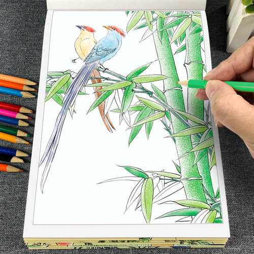 中国画白描入门描摹本