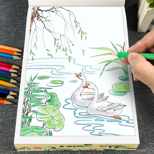 儿童线描临摹国画素描画册绘画本