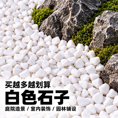 铺地石头造景小石子白色庭院批发